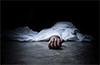Kasargod: Man, woman found dead in lodge